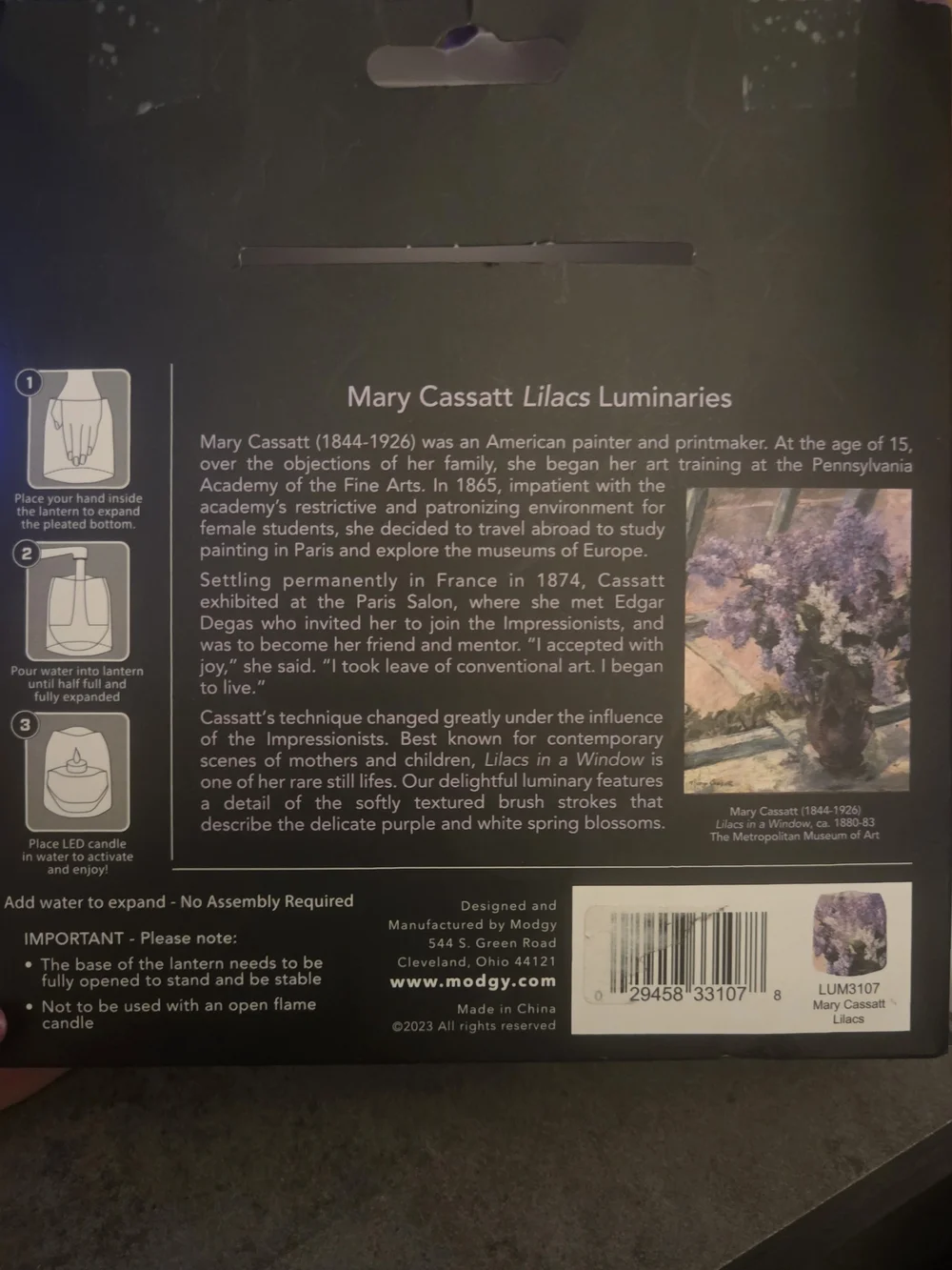 MODGY Mary Cassatt Luminary Lantern Water Activated LED Candle Set